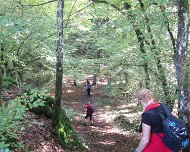 2014 Moselwanderung "De Joch der Deijweln"