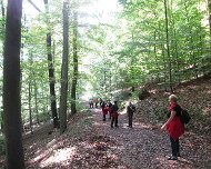 2014 Moselwanderung "De Joch der Deijweln"