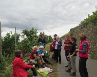 Herbstwanderunger Brauneberg 2018 